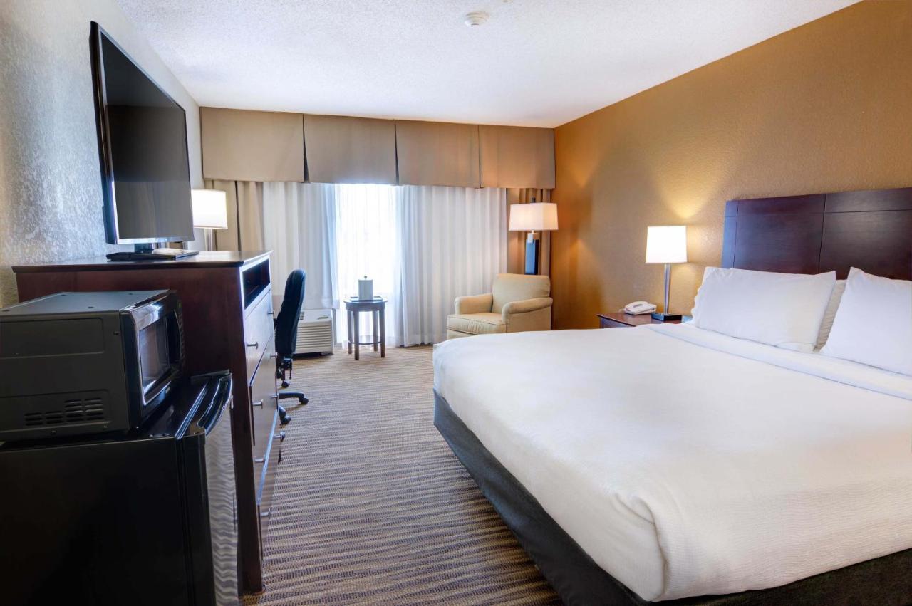 Executive King Room - Non-Smoking at Holiday Inn St Petersburg N - Clearwater, an IHG Hotel