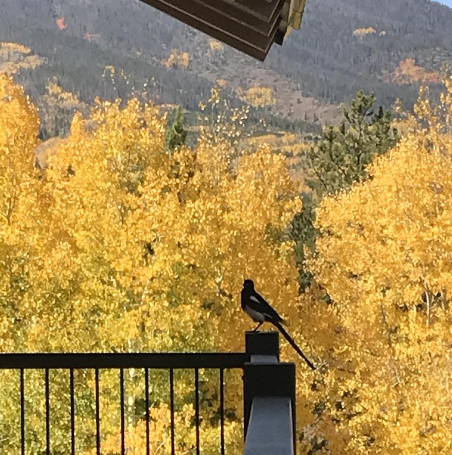 | Hideaway Mountain Lodge