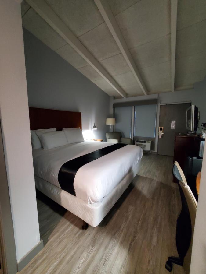 King Suite at Happy Bay