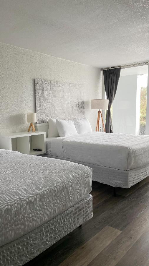 Standard Double Room at Oneway Savannah