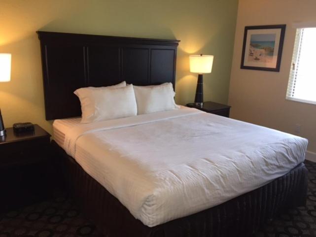  | New Hotel Collection Harbourside