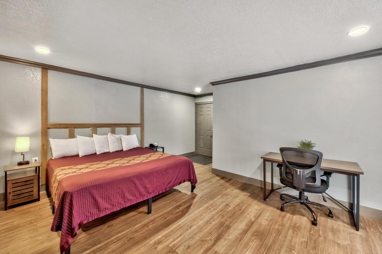 King Room at Blue Jay Lodge