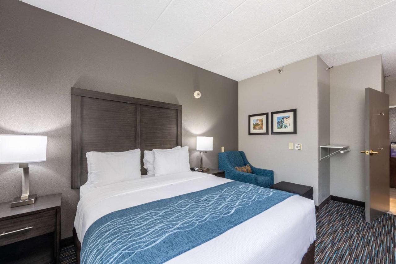 King Room - Accessible/Non-Smoking at Comfort Inn Chicago Schaumburg - O'Hare Airport