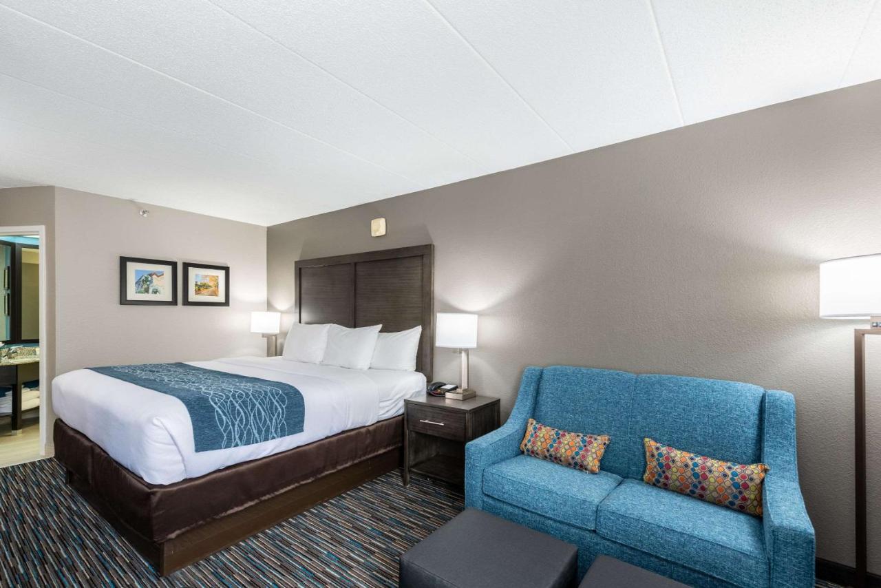 King Room - Accessible/Non-Smoking at Comfort Inn Chicago Schaumburg - O'Hare Airport