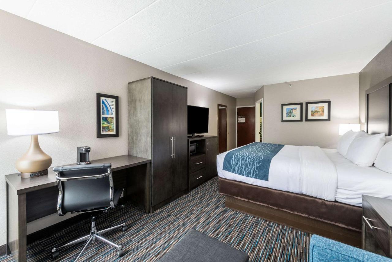King Room - Accessible/Non-Smoking at Comfort Inn Chicago Schaumburg - O'Hare Airport