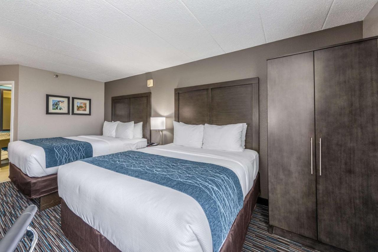 Queen Room with Two Queen Beds - Accessible/Non-Smoking at Comfort Inn Chicago Schaumburg - O'Hare Airport