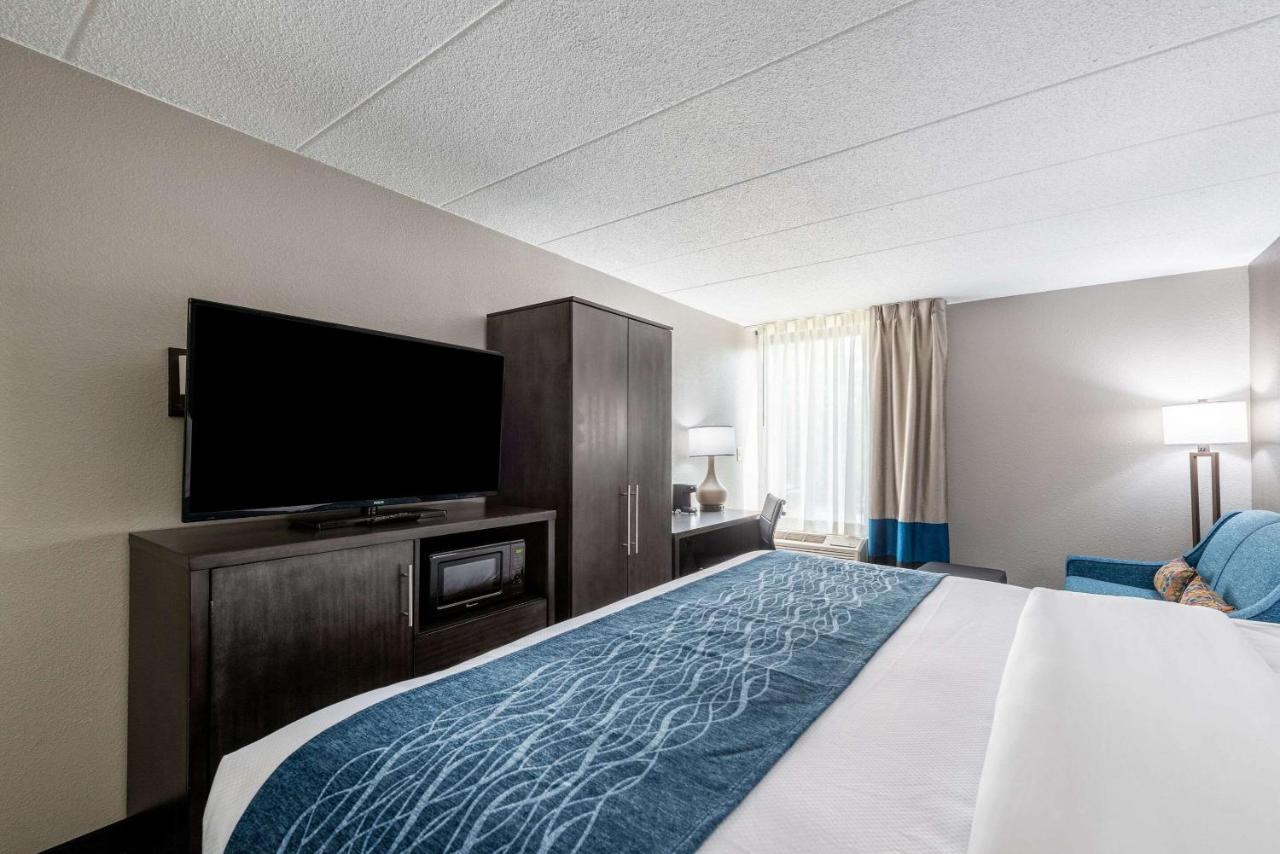 Standard King Room - Non-Smoking at Comfort Inn Chicago Schaumburg - O'Hare Airport