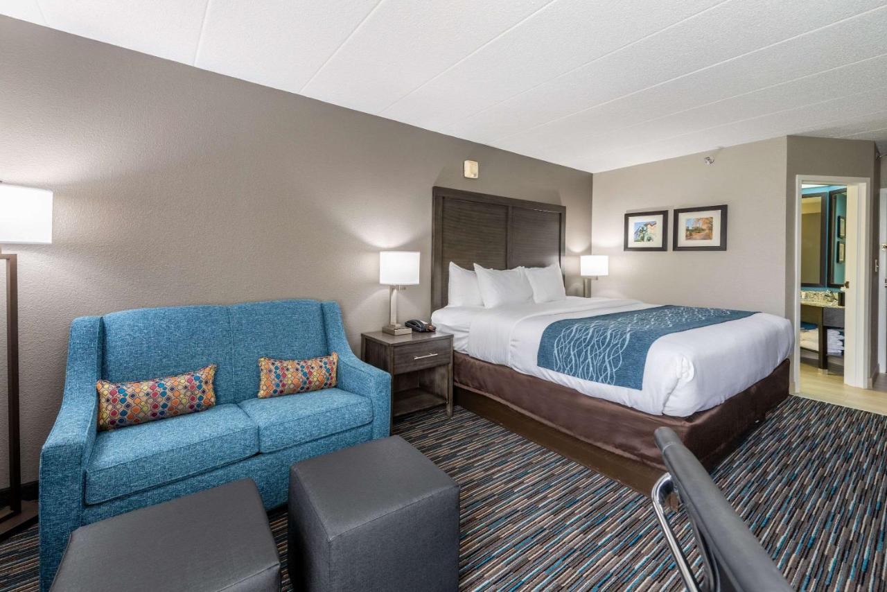 Standard King Room - Non-Smoking at Comfort Inn Chicago Schaumburg - O'Hare Airport