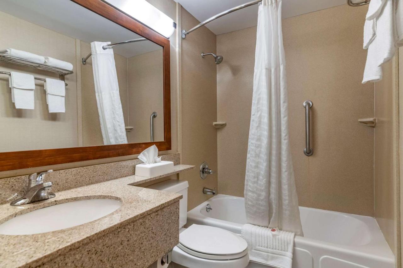 | Comfort Inn Glenmont - Albany South