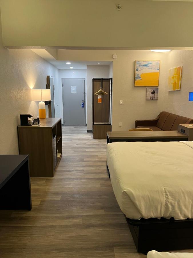 King Suite with Sofa Bed - Non-Smoking at Comfort Suites Clearwater - Dunedin