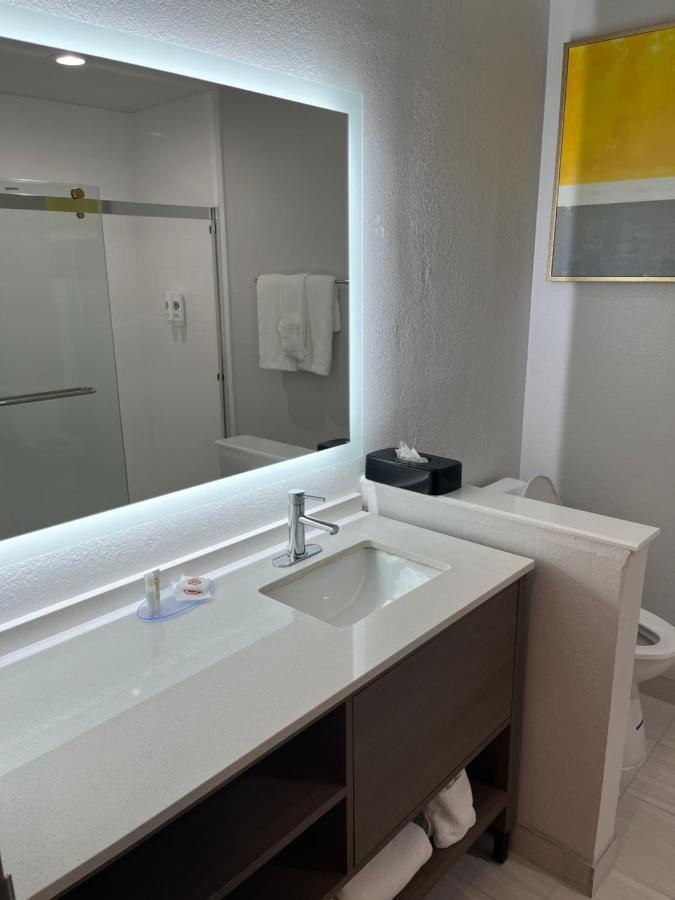 Queen Suite with Bay View at Comfort Suites Clearwater - Dunedin