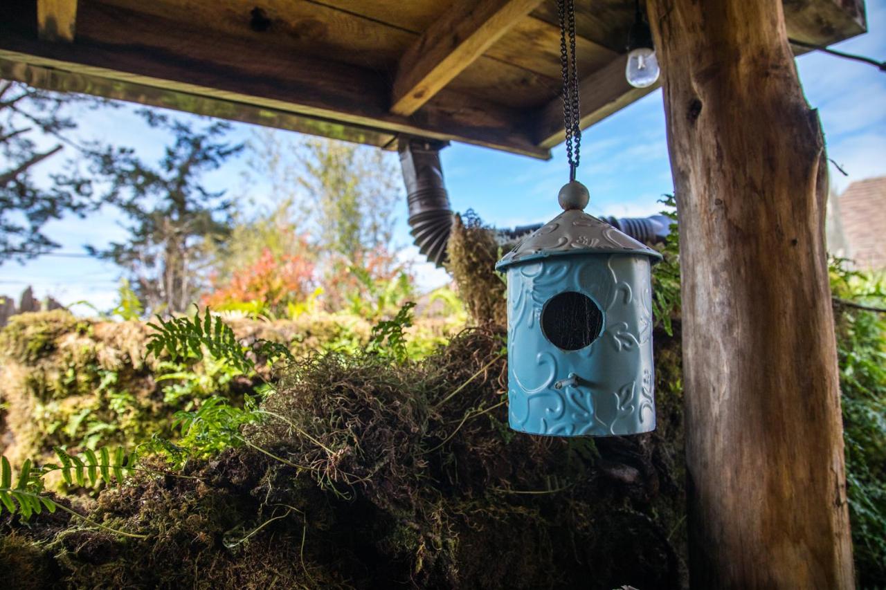 | The Front Porch Hidden Oasis