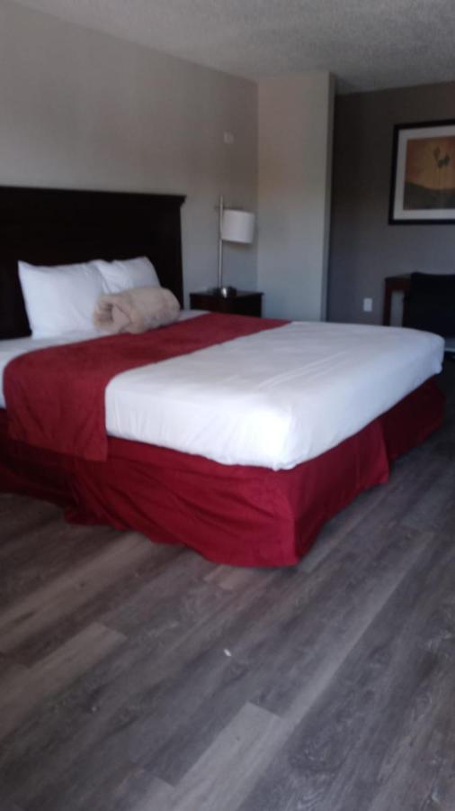 | La Casa Inn New Port Richey Gulf Beach US-19