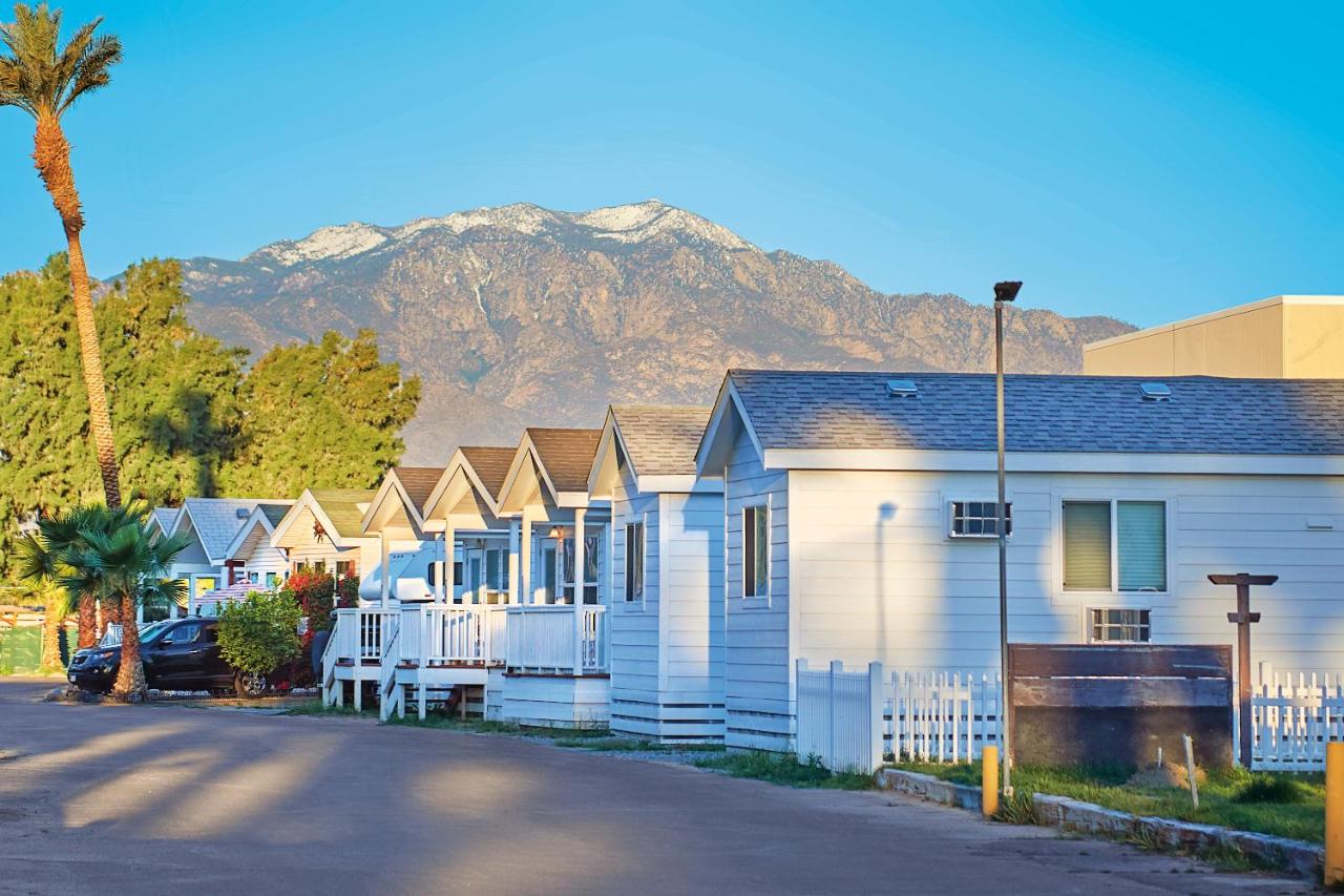 | Palm Springs Camping Resort Loft Cabin 1