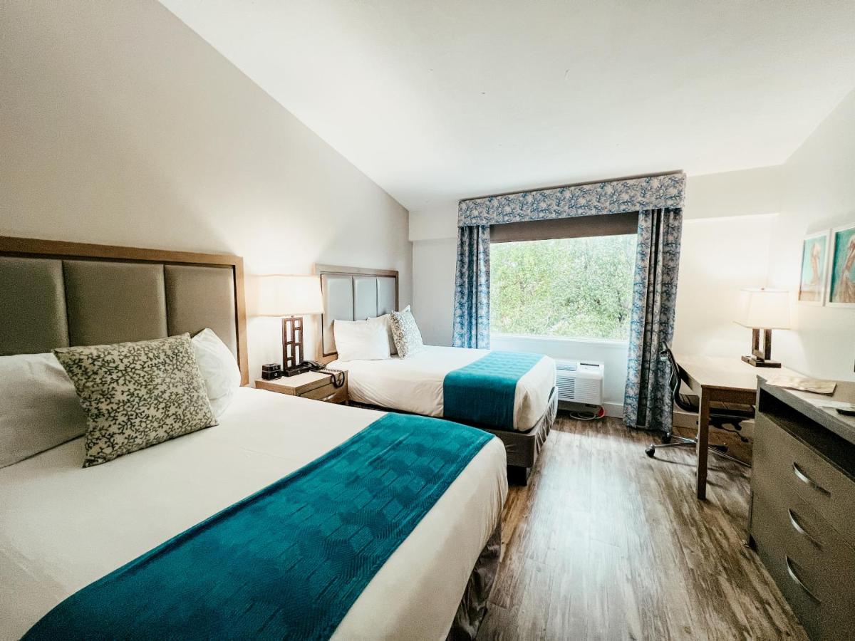 Premier Two Double Beds Room at Bayside Inn Key Largo