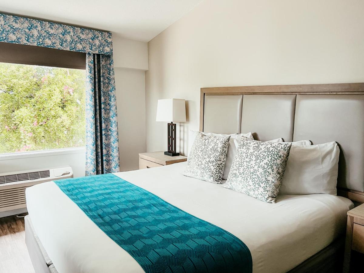 Premier King Room at Bayside Inn Key Largo