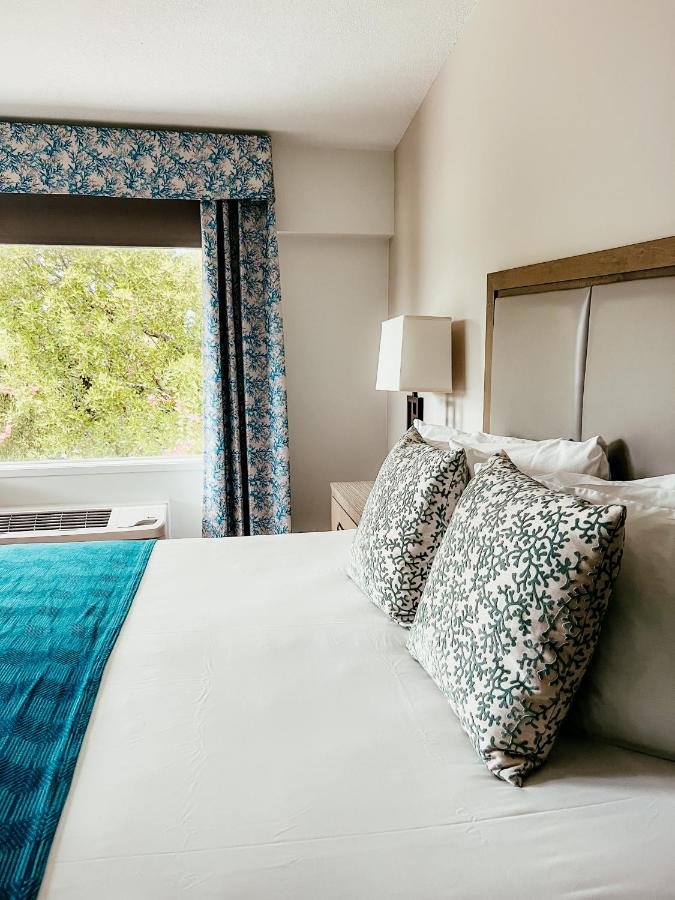 Premier King Room at Bayside Inn Key Largo