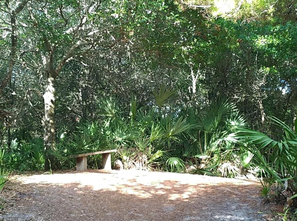 | Renovated Beach Bungalow Steps From the Dune – Across from Island Preserve