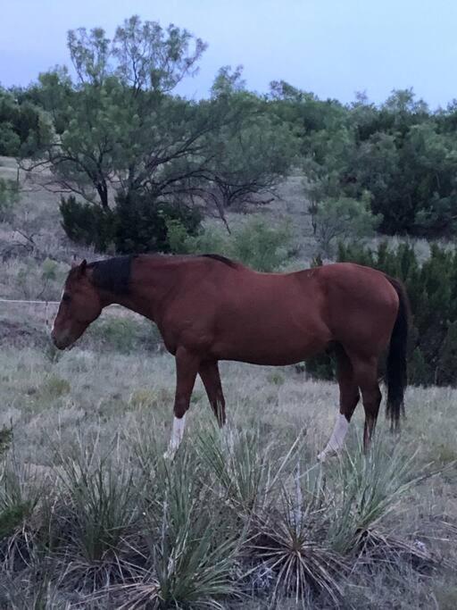  | The Hideout at Palo Duro Canyon- Rider’s Roost