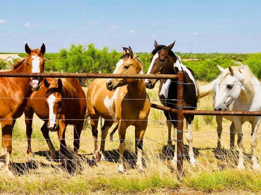 | The Hideout at Palo Duro Canyon- Rider’s Roost