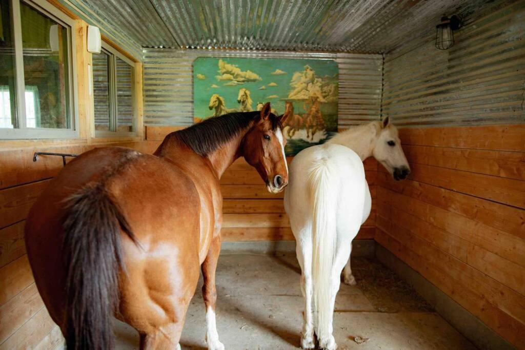 | The Hideout at Palo Duro Canyon- Rider’s Roost