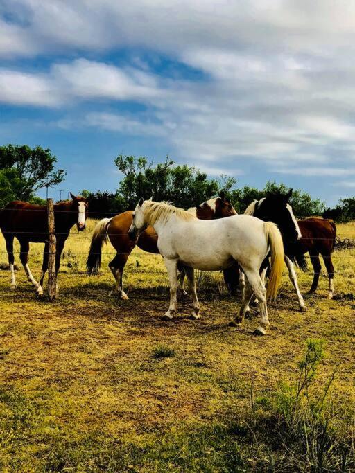 | The Hideout at Palo Duro Canyon- Rider’s Roost