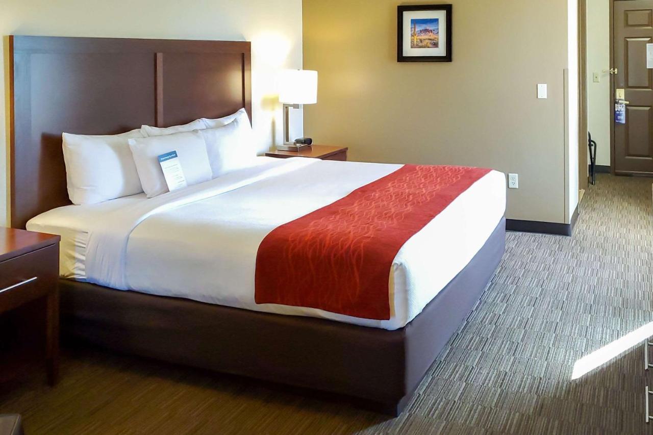 King Room - Non-Smoking at City Express by Marriott Tempe