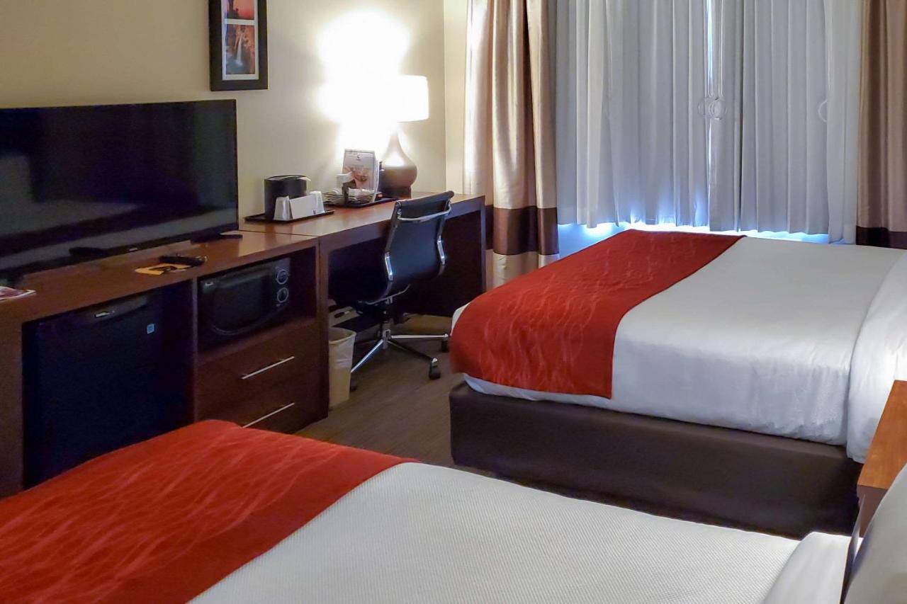 Queen Room with Two Queen Beds - Non-Smoking at City Express by Marriott Tempe