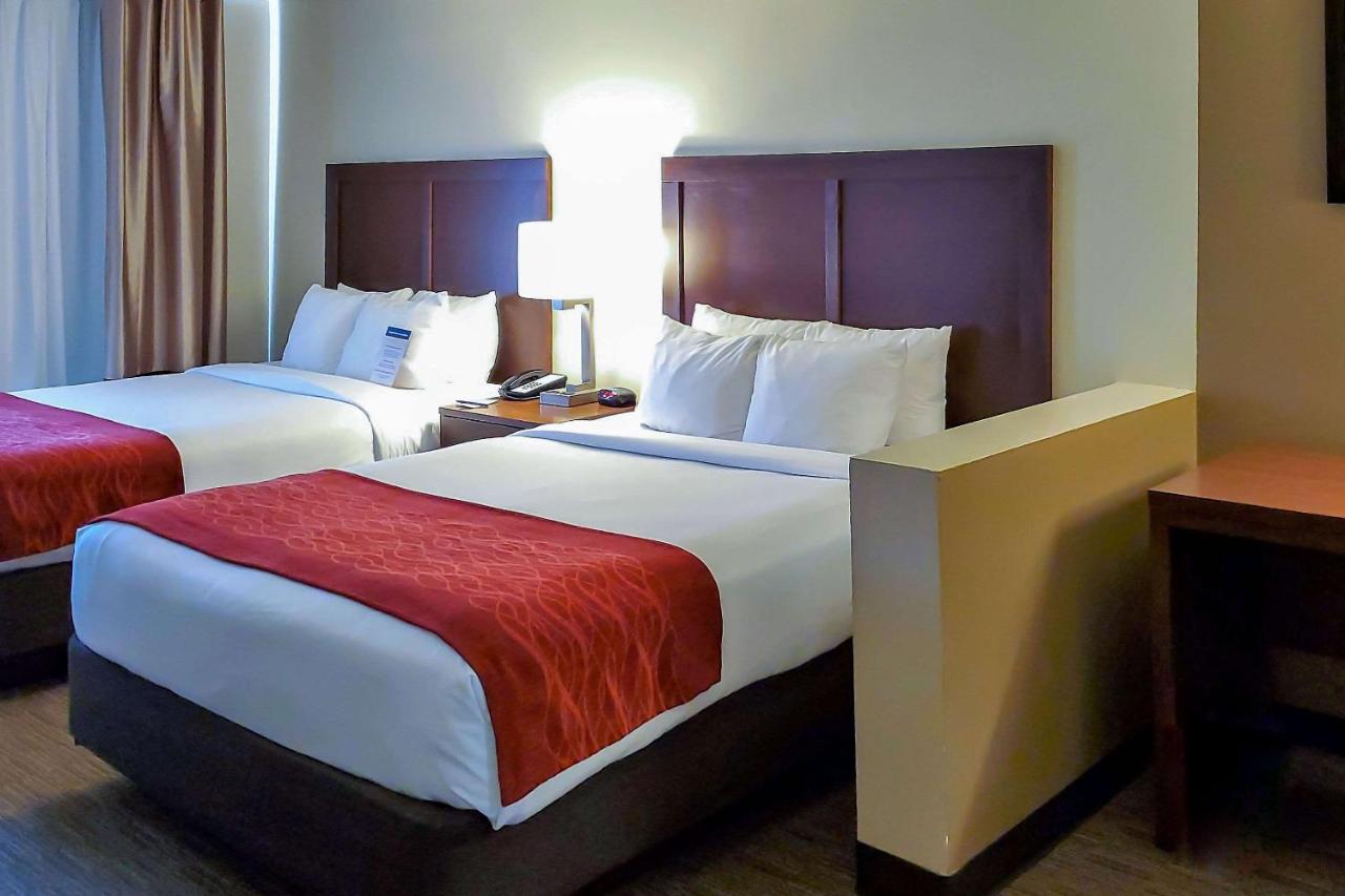 Queen Room with Two Queen Beds - Non-Smoking at City Express by Marriott Tempe