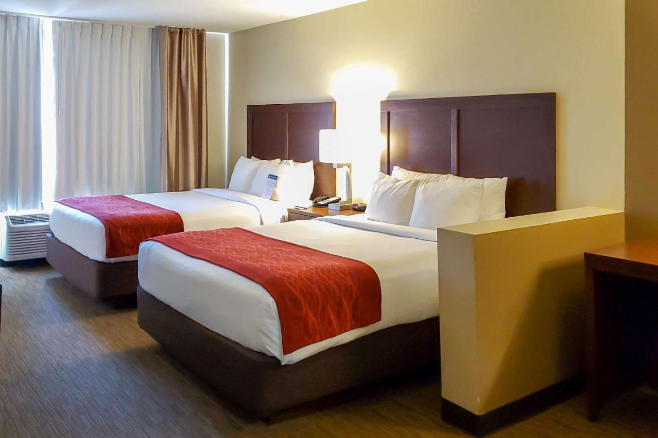 Queen Room with Two Queen Beds - Non-Smoking at City Express by Marriott Tempe