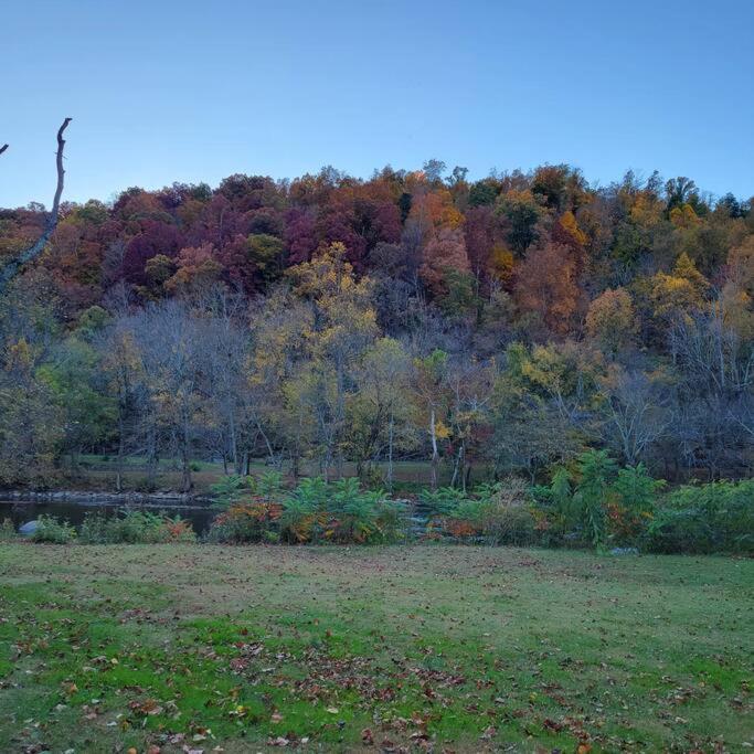 | Hope Floats~ Riverfront cabin with hot tub