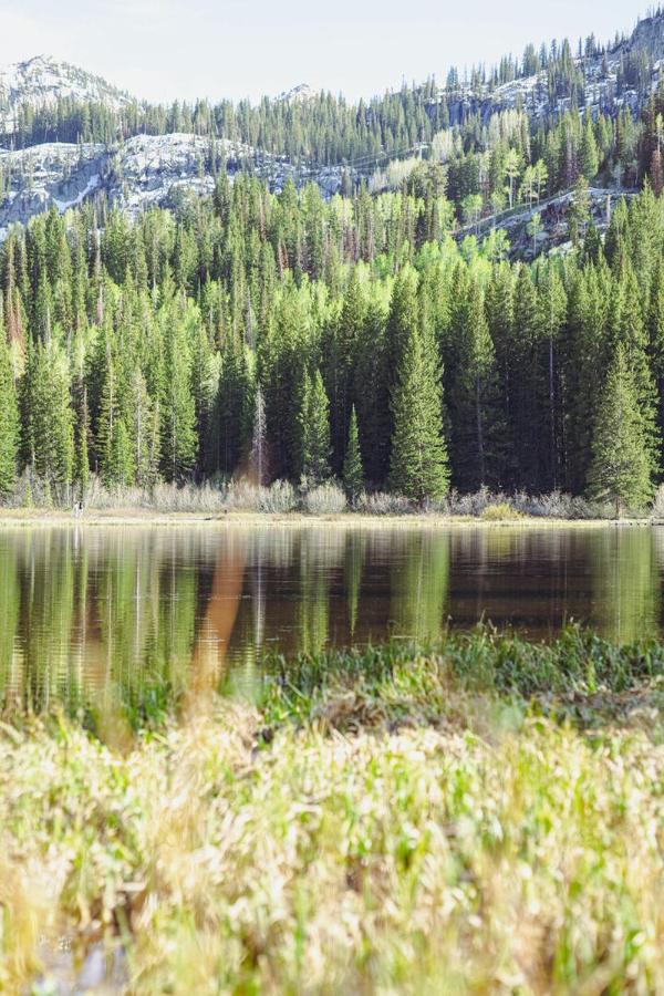 | Big Cottonwood 2 Bedroom Brighton Chalet