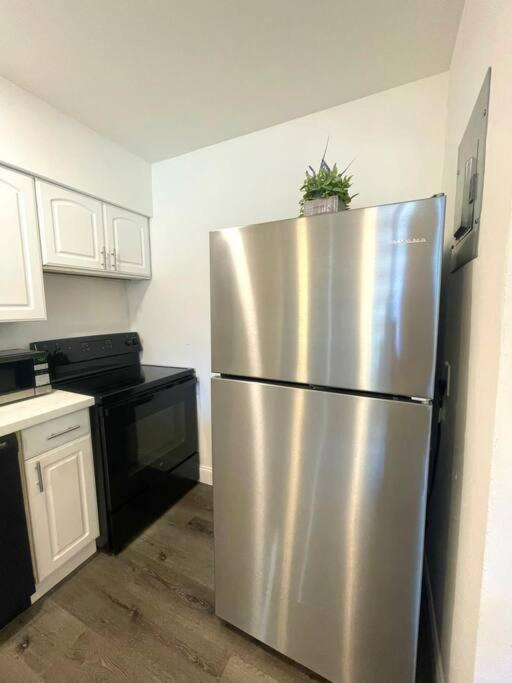 | The House with the Best Pool Area in Ft Lauderdale