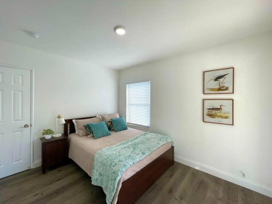 | The House with the Best Pool Area in Ft Lauderdale