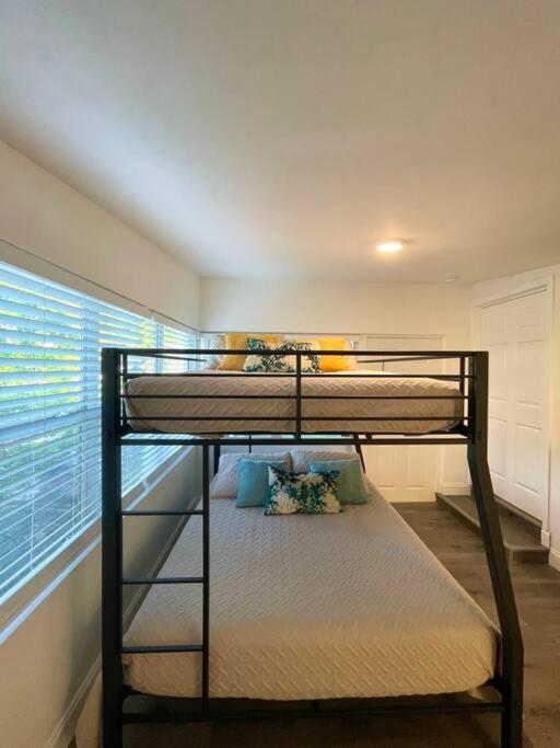 | The House with the Best Pool Area in Ft Lauderdale