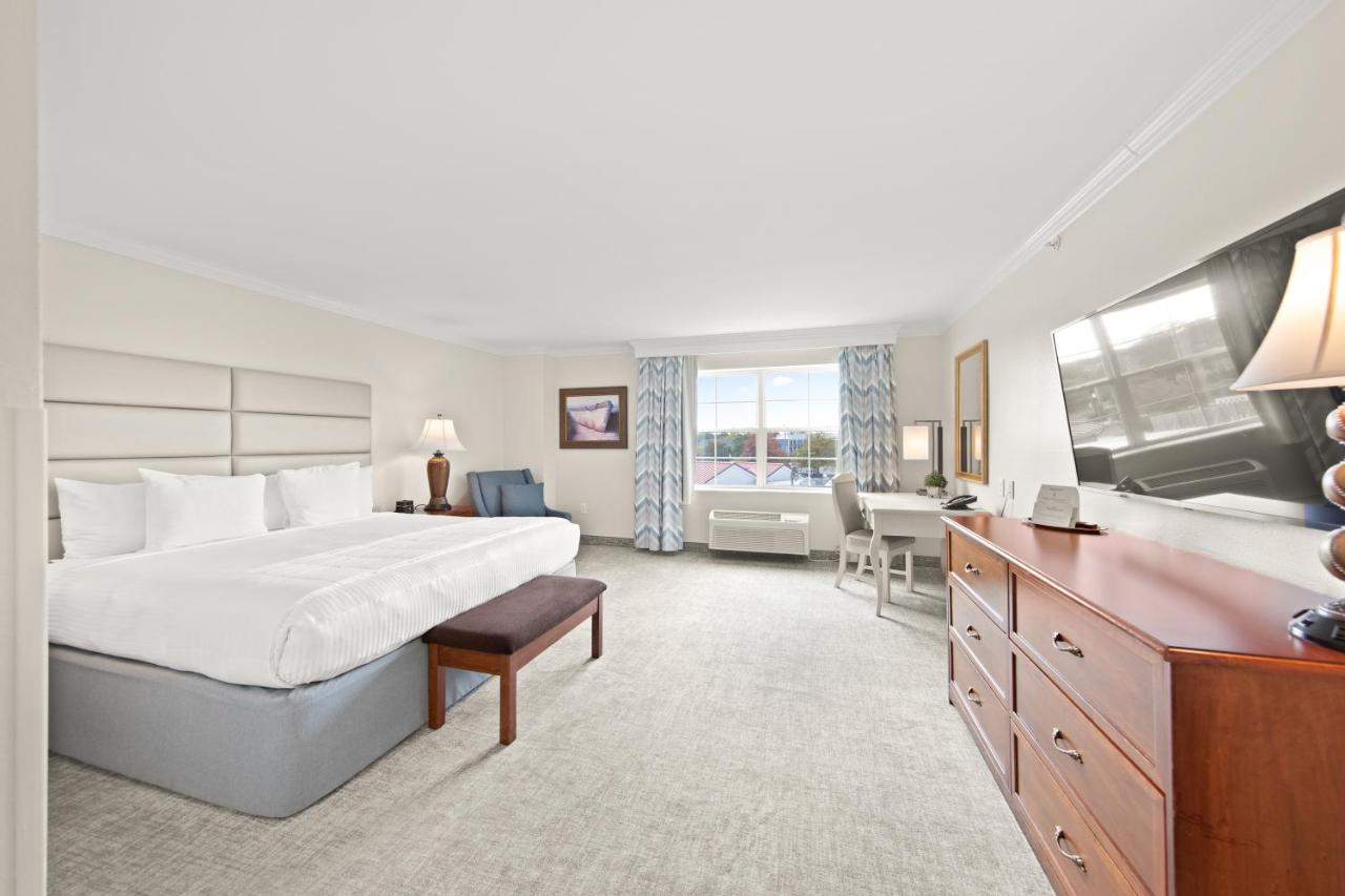 King Room with Pool View at Hotel Rehoboth