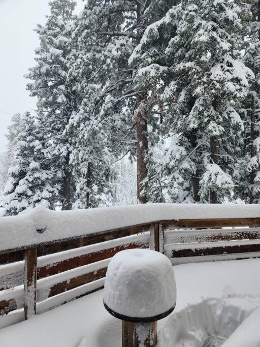 | Black Bear Lux Family Cabin 1 mi from Village