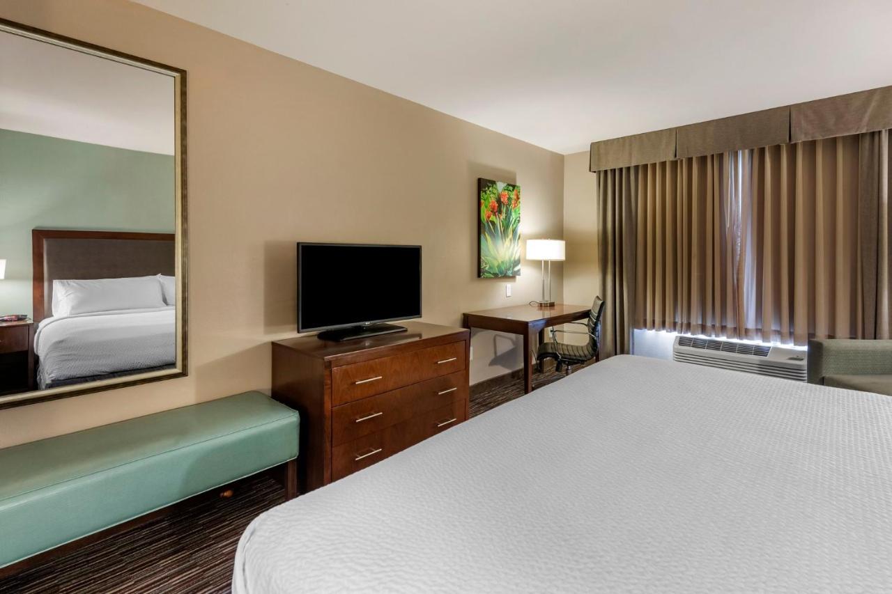 King Room with Sofa Bed at Holiday Inn Express & Suites Indio - Coachella Valley by IHG