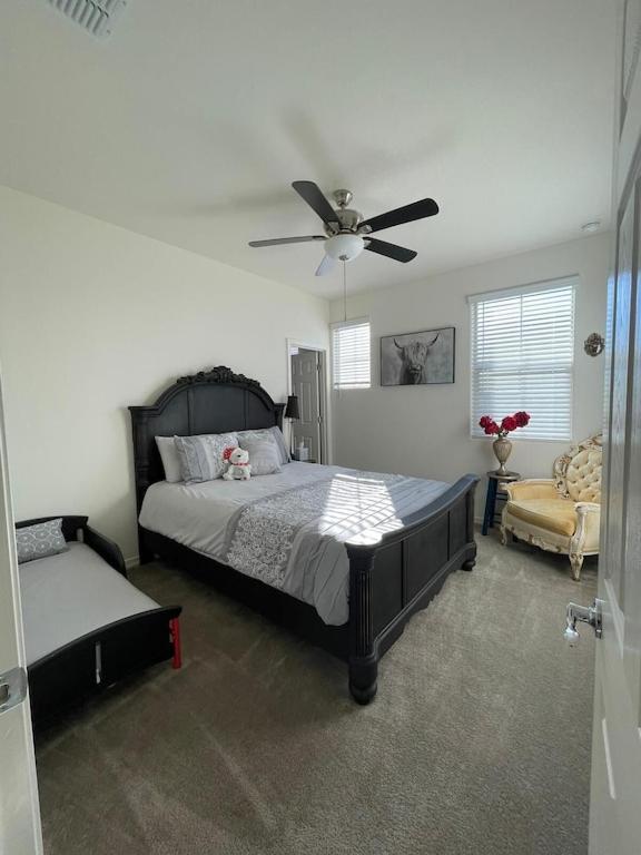 | Modern Home with Pool, Spa and Super Bowl Ready