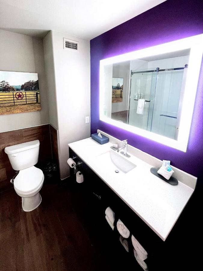 Executive King Room at La Quinta Inn & Suites by Wyndham Pharr North McAllen