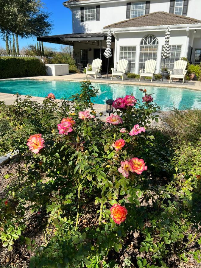 | The Plantation House Boutique Inn