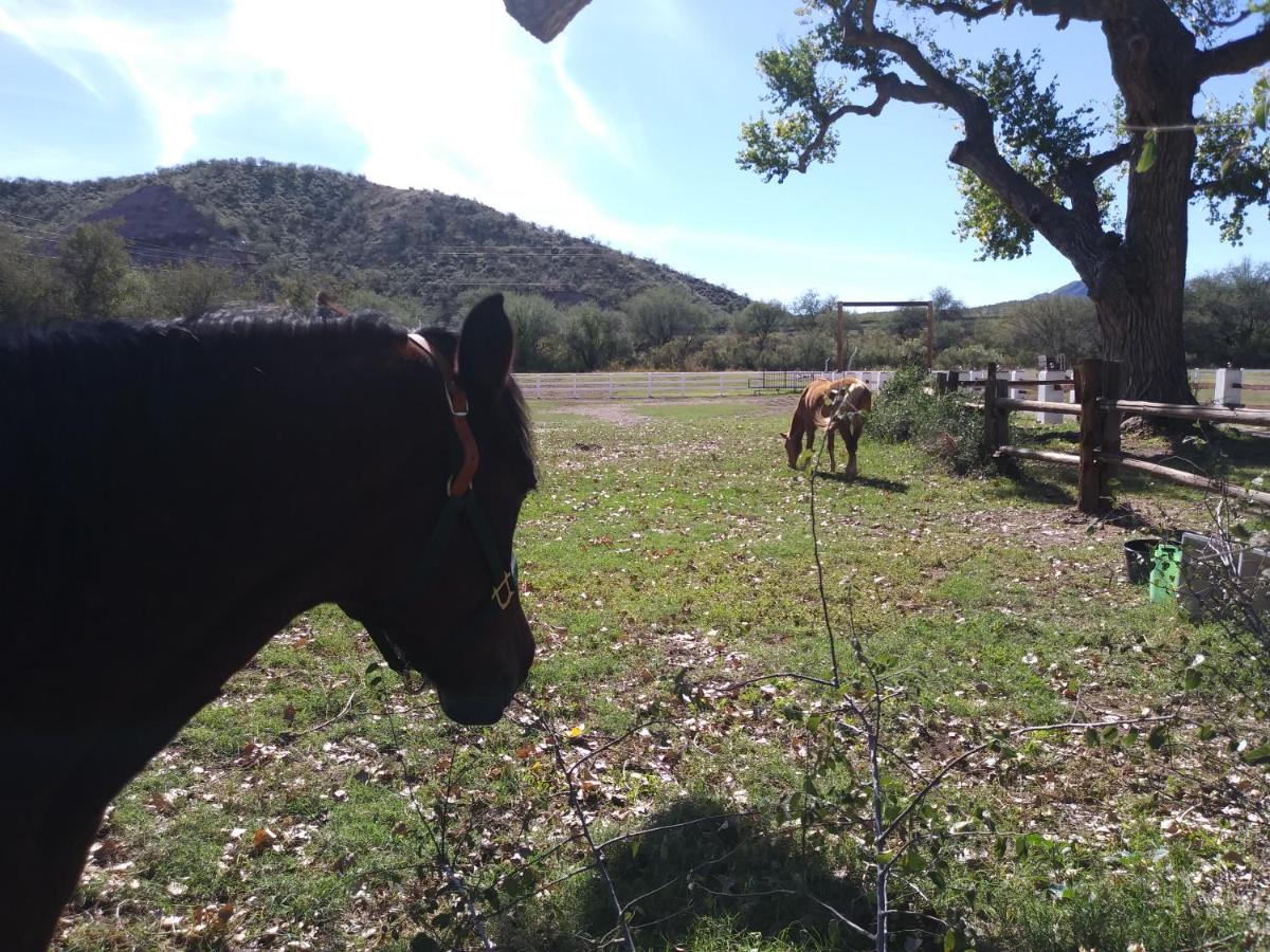 | Rancho Santa Cruz