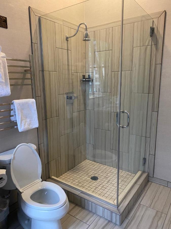 Deluxe Room at Harlow Hotel