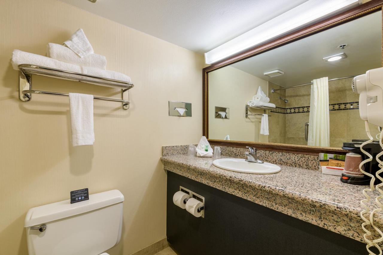 Standard King Room - Non-Smoking at Grand Vista Hotel