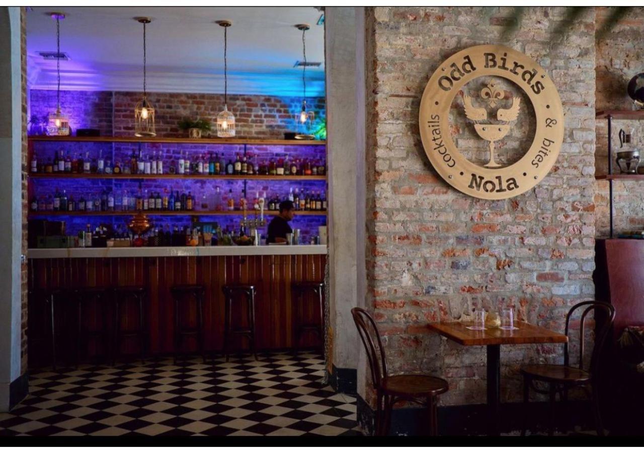  | Selina Catahoula New Orleans