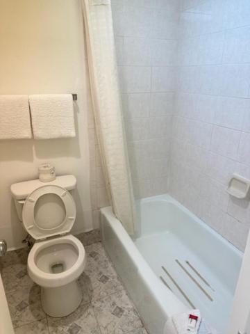 | Executive Inn Mercedes Weslaco