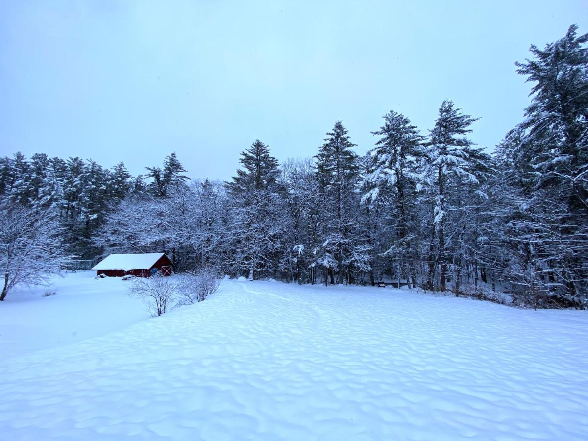 | Cranmore Mountain Lodge Bed & Breakfast