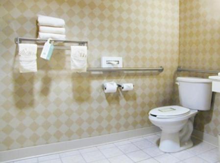 One-Bedroom Suite at Holiday Inn Hotel & Suites Raleigh / Cary by IHG
