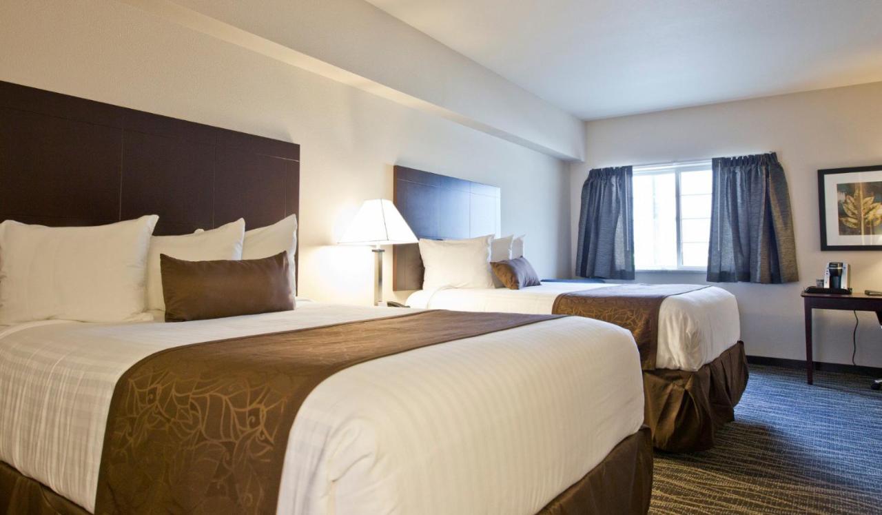 Deluxe Queen Room at Cobblestone Inn & Suites - Clarinda