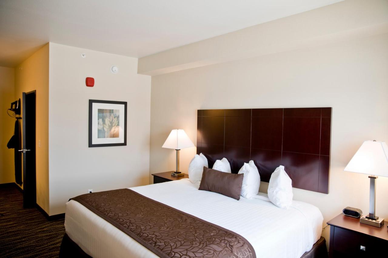 King Room with Roll-In Shower - Disability Access at Cobblestone Inn & Suites - Clarinda